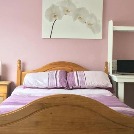 Avondale Accommodation ليتيركيني المظهر الخارجي الصورة