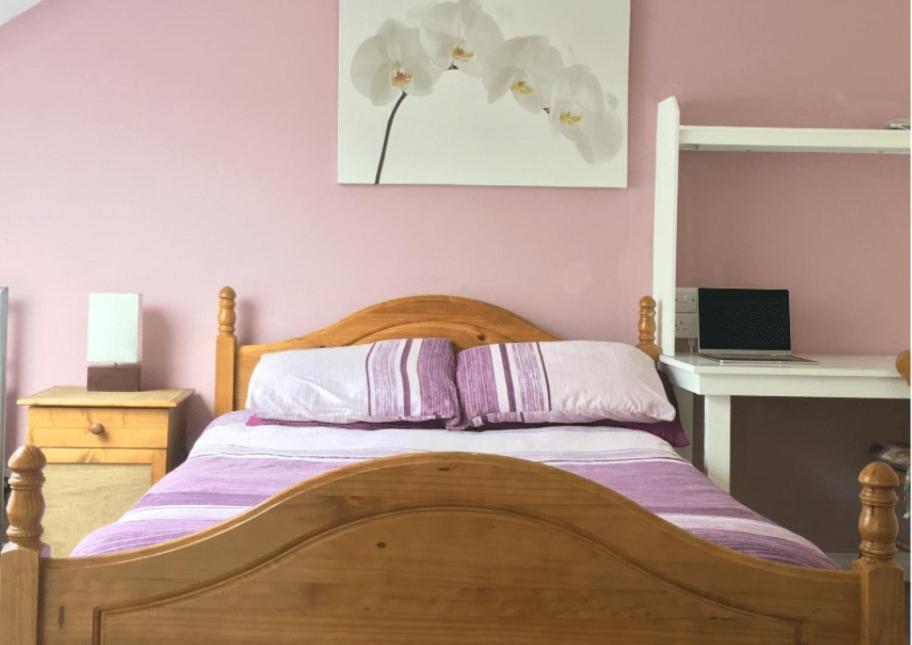 Avondale Accommodation ليتيركيني المظهر الخارجي الصورة